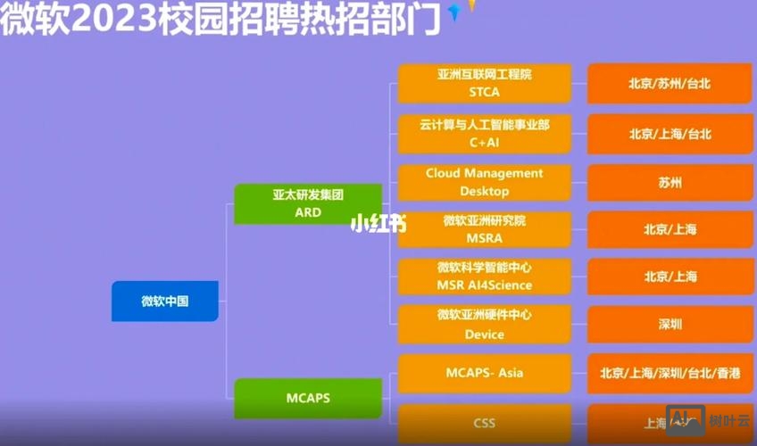 microsoft 校园招聘