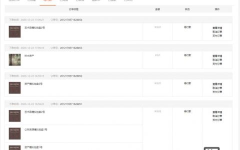 京东自定义模块如何插入js，京东自定义模块如何插入js？