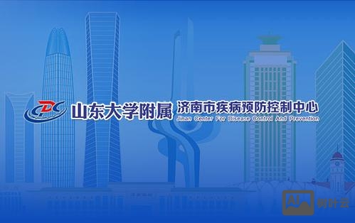 山东网站搭建创意