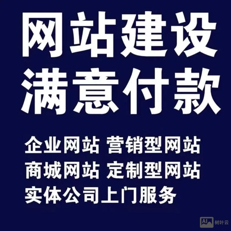 专业网站搭建定制