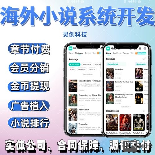 软件源码搭建开发