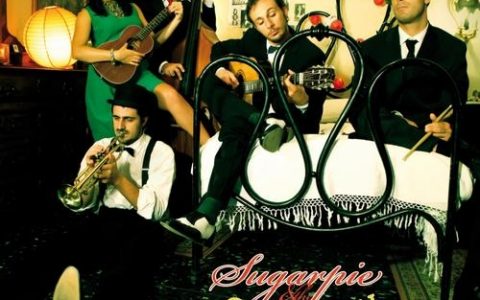 sugar音乐招聘，sugar音乐招聘什么岗位？要求有哪些？
