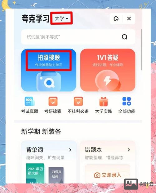 搜索答案网站搭建