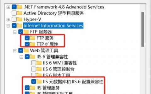 2008系统搭建ftp，2008系统如何快速搭建FTP？