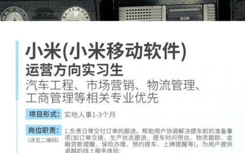 小米芯片 招聘，小米芯片招聘，是自研突破还是人才储备？