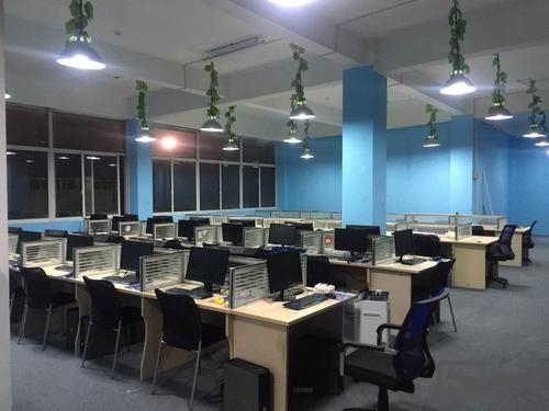 网络设计搭建公司