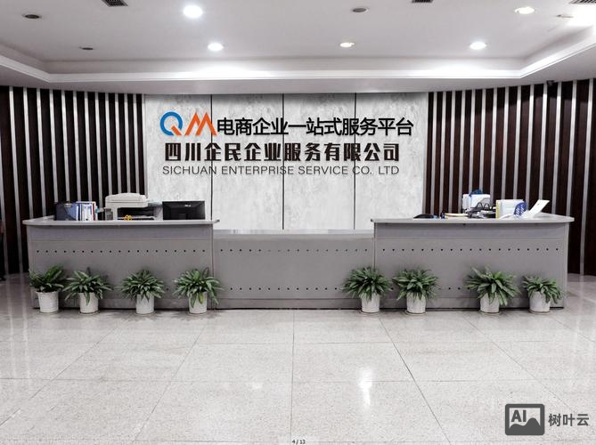 成都网站搭建公司