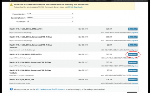 mac 搭建个人网站，Mac搭建个人网站，域名主机怎么选？