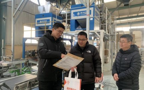 菏泽公司网络搭建，菏泽公司网络搭建如何高效且低成本？