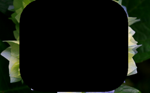 如何用ps画圆角矩形框，PS画圆角矩形框，圆角半径怎么调？