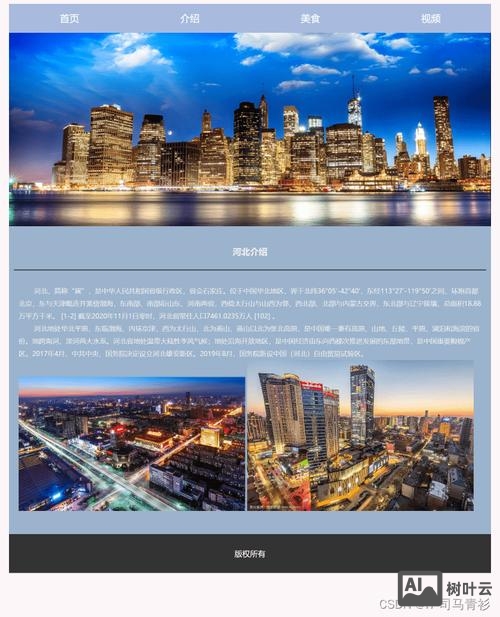 河北专业网站搭建