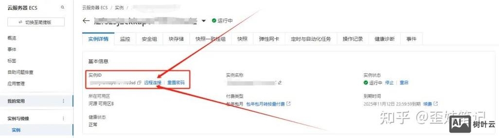 如何搭建自建站