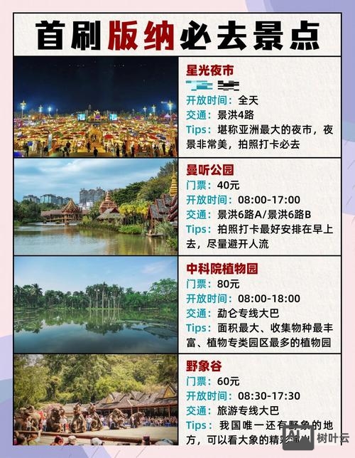 西双版纳网站搭建