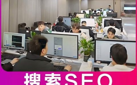 网络搭建优化推广，网络搭建优化推广如何高效协同提升转化？