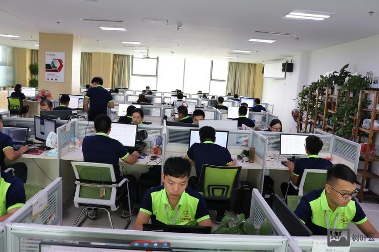 网络平台公司搭建