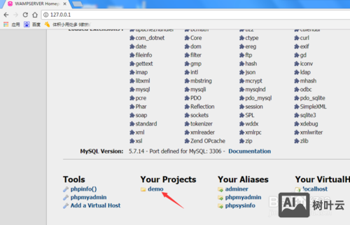 wamp本地环境搭建