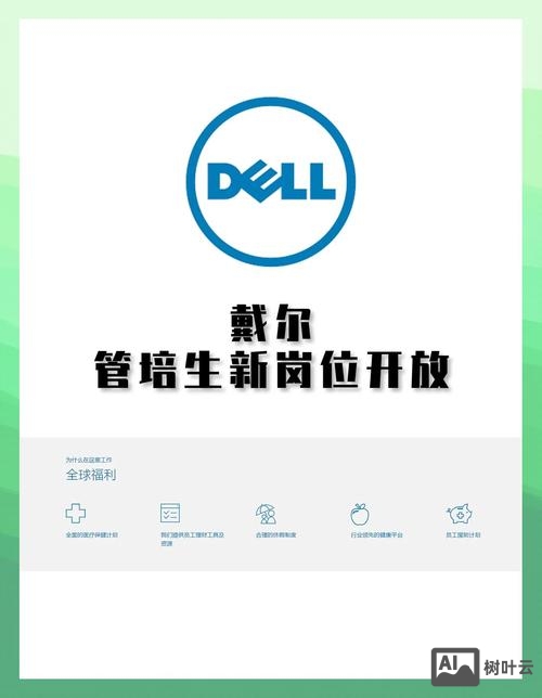 dell 中国招聘