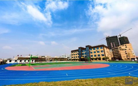 文德数据招聘，文德数据招聘什么岗位？要求有哪些？