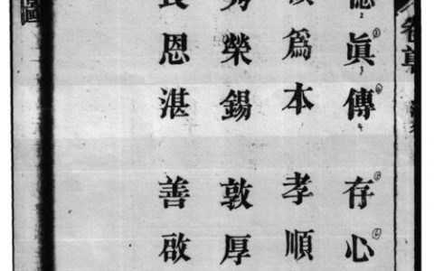 派衍招聘，派衍招聘，哪些岗位在招？要求如何？