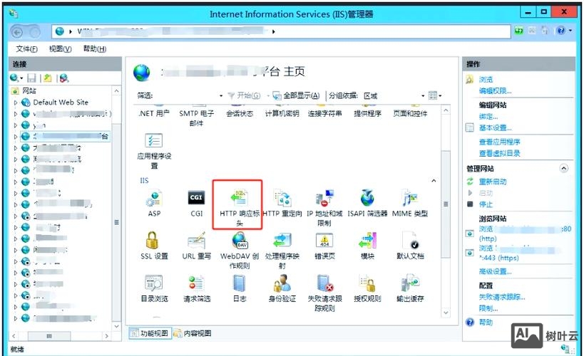 iis站点搭建指南