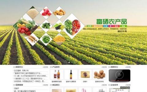 新疆网站搭建开发，新疆网站搭建开发，如何高效定制与落地？