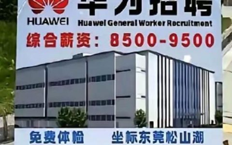 华为招聘号，华为招聘号招什么人？