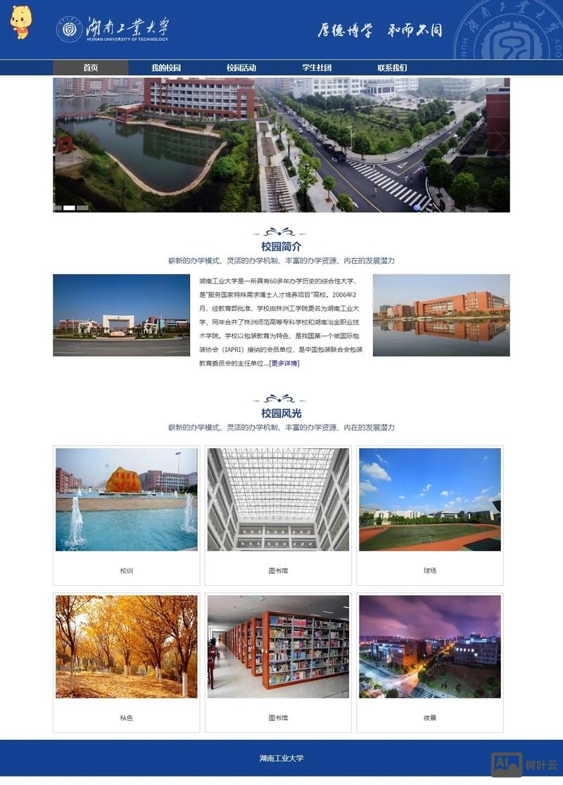 学校网站搭建栏目