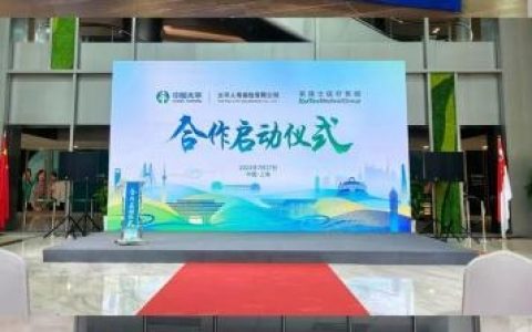 文山网站搭建开发，文山网站搭建开发，如何快速高效落地？