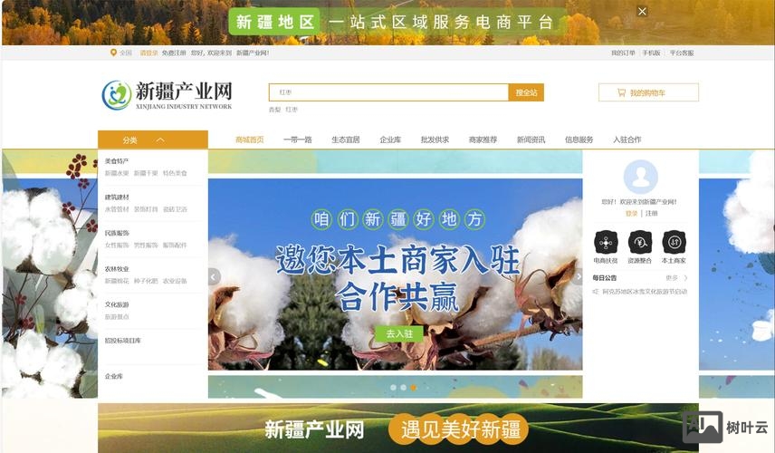 新疆网站搭建开发