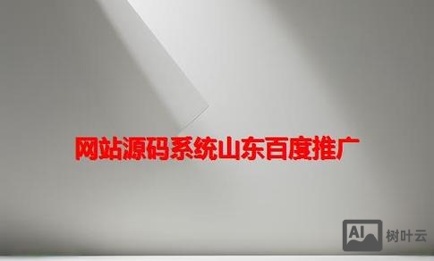 山东网站搭建推广