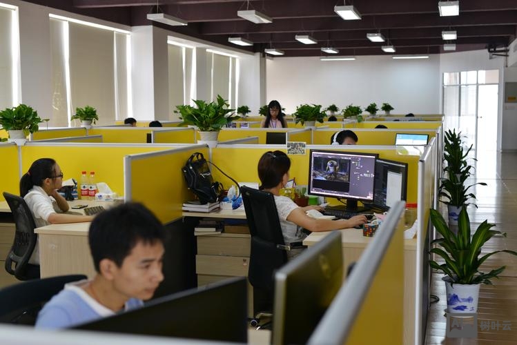 传媒公司网络搭建