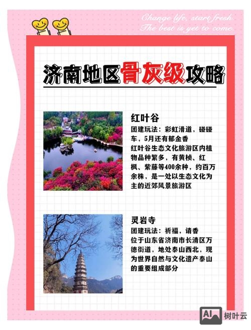 济南网站搭建排名