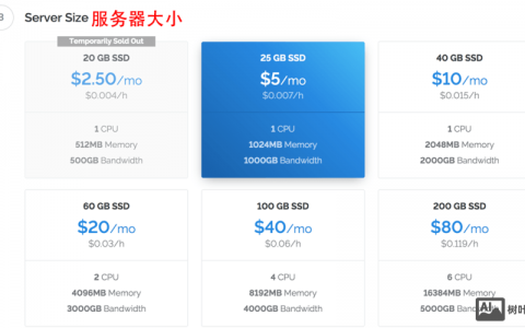 vps搭建双ip，VPS如何搭建双IP？