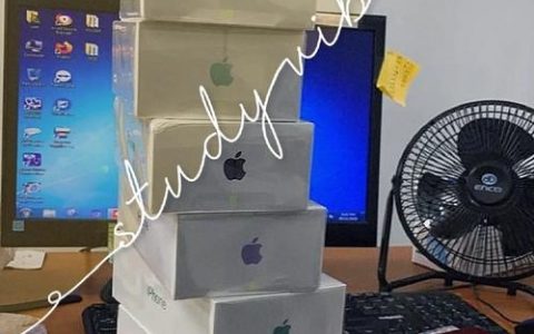 手机站代搭建，手机站代搭建怎么选？