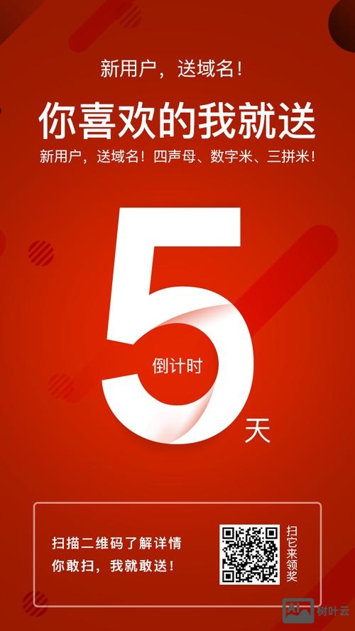 oray里注册 送的域名 如何使用