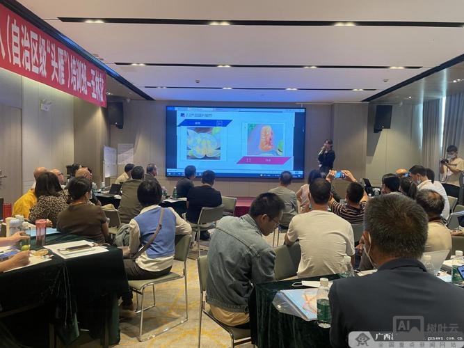 广西 网络搭建培训