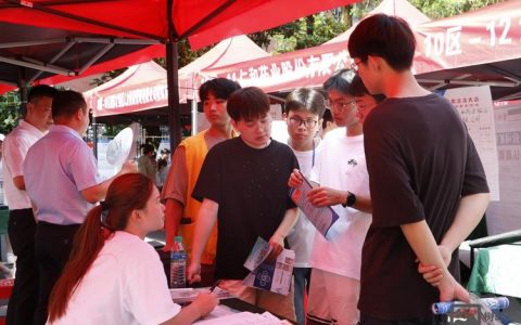 lsi校园招聘，LSI校园招聘何时启动？