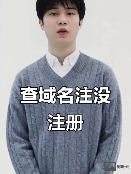 如何查域名是否被注册表