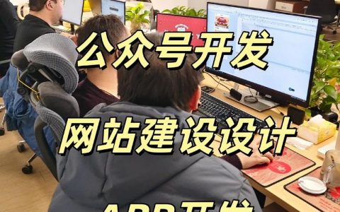 开发app 网站搭建，开发APP与网站搭建，哪个更优先？