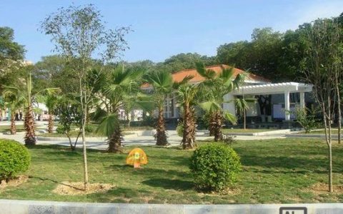 梧州蒙山搭建网，梧州蒙山搭建网是做什么的？