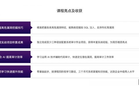 代码审计招聘，代码审计岗招人，要啥技能经验？