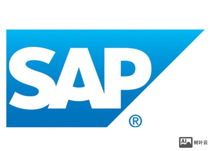 sap pmo 招聘