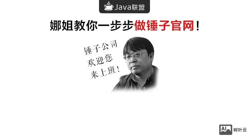 锤子招聘 java