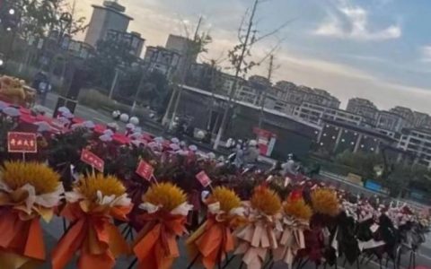 肇庆官网搭建，肇庆官网搭建，如何高效又合规？