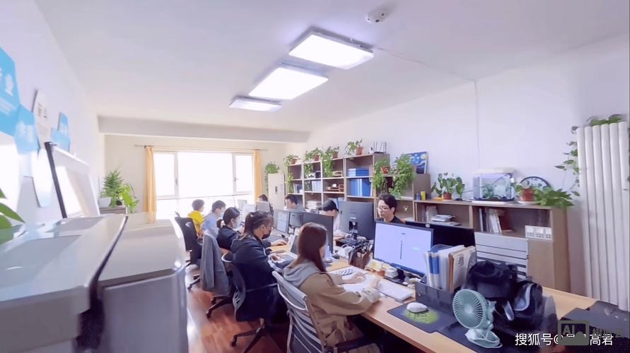 文山网站搭建公司