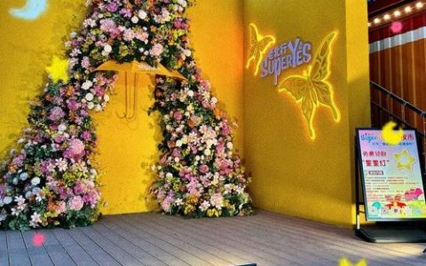 沈阳微商城搭建，沈阳微商城搭建怎么选？价格、功能、服务哪家强？