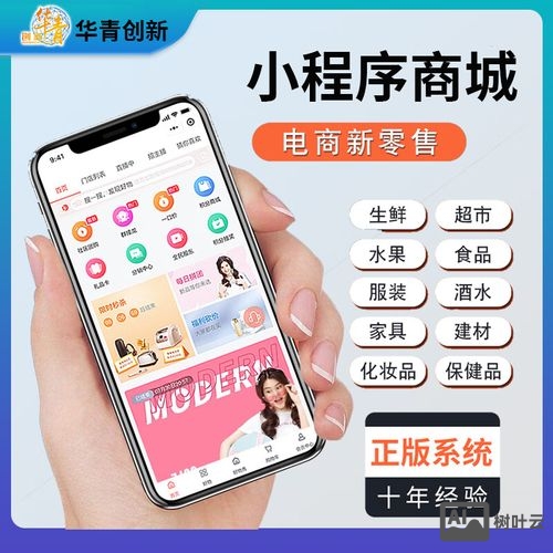 搭建微商城公司