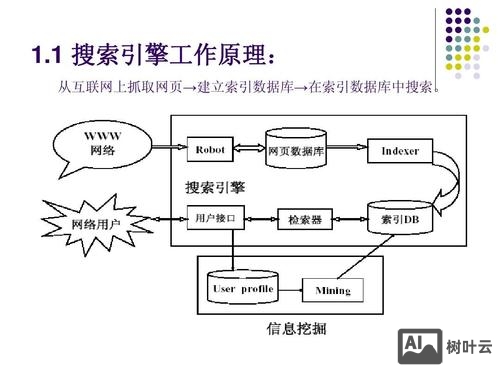 搭建搜索平台 流程