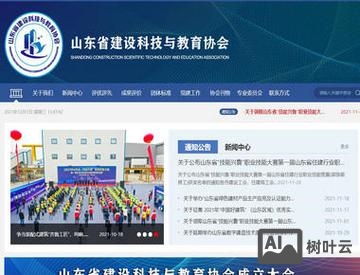 山东网站搭建机构