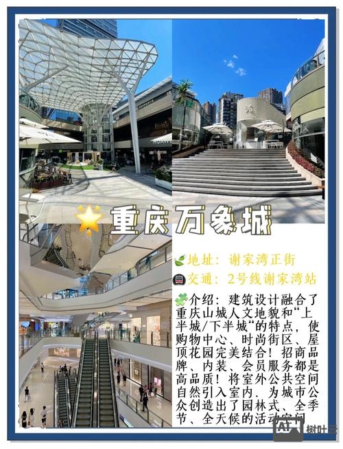 重庆商城搭建公司